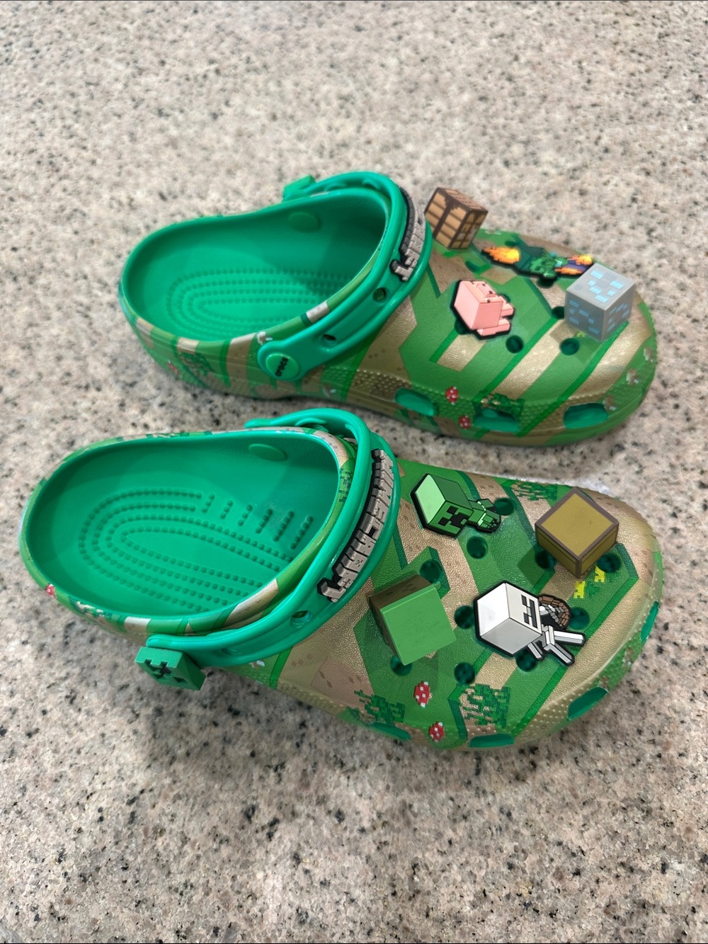 Crocs Big Kids Minecraft Classic Clogs